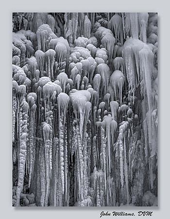 Frozen Medusa