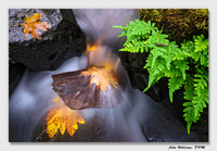 Flowing Along