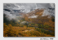 Fall Flowing