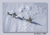 Winter Convergence
