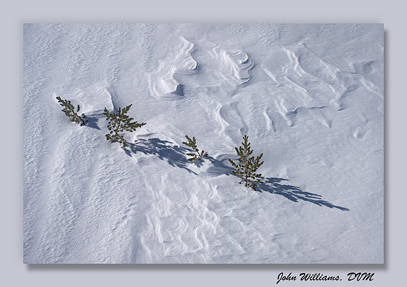 Winter Convergence