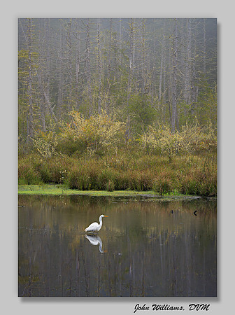 Upon Reflection