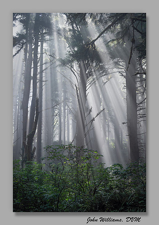Distant Light