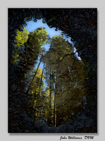Looking Glass