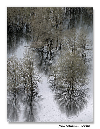 Silver Drops